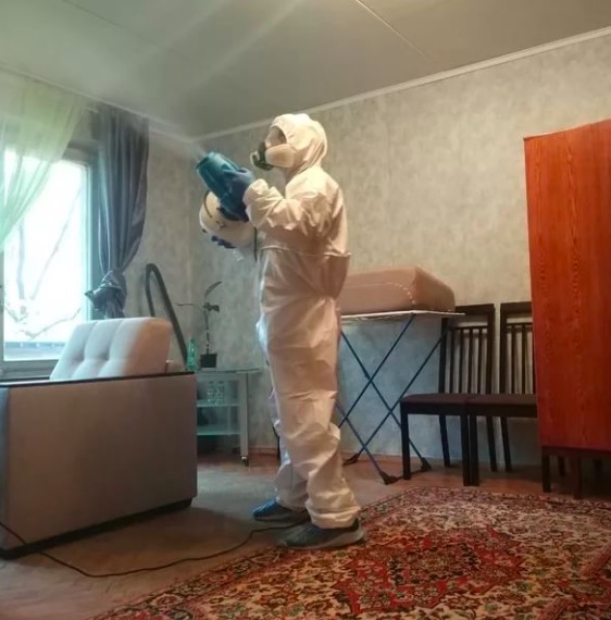 дезинсекция квартиры в Новодвинске